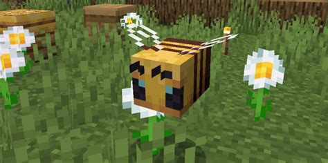 Bees In Minecraft: All You Need To Know | Gurugamer.com
