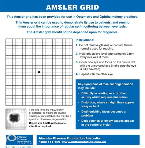 Amsler Grid Test Printable
