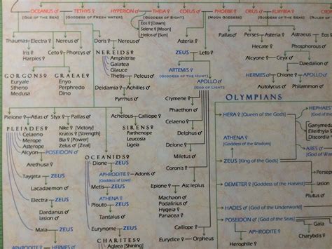 Buy Parthenon Graphics Timelines Family Tree of Greek Mythology Online ...