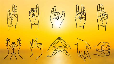 Why Does Stretching Feel So Good? The Real Science - Lotus Yoga Dallas