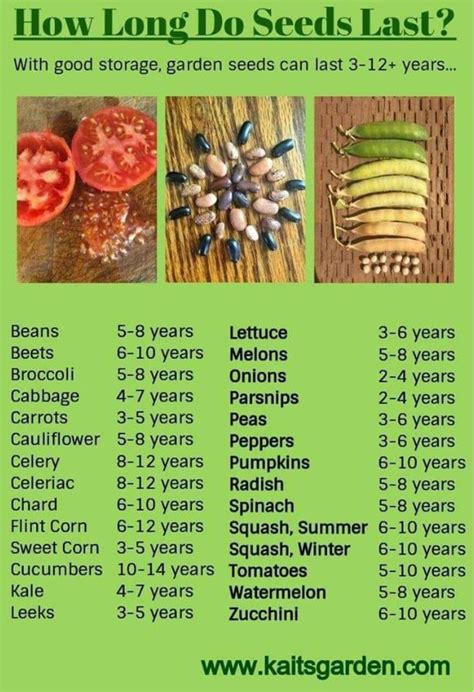 Indigenous Seed Keepers Network: Protecting Traditional Seeds