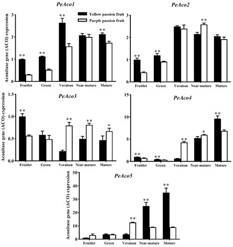 Changes in the Content of Organic Acids and Expression Analysis of ...