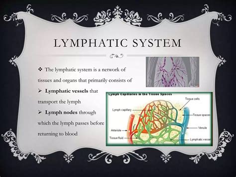 Lymph , lymph circulation, function , lymph notes | PPT