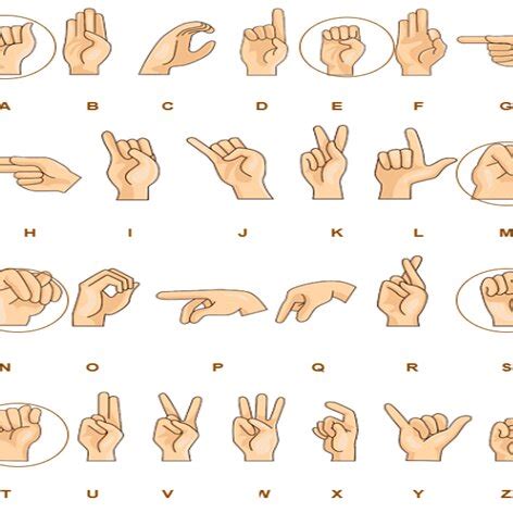 Hand Language Alphabet 的图像结果