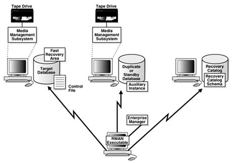 Oracle RMAN Tutorial 的图像结果