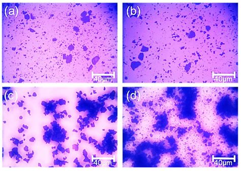 Hydrophobic Agglomeration of Fine Pyrite Particles Induced by Flotation ...