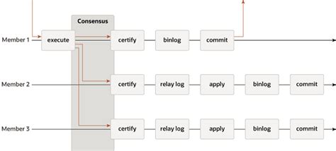 Image result for MySQL Mgr
