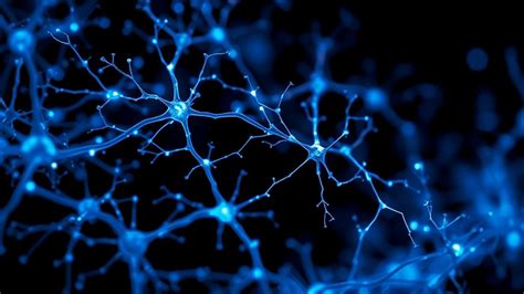 Memory 的图像结果