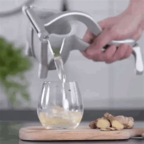 Urban™ Fresh Fruit Juicer: Manual Citrus Press for Healthy & Delicious ...