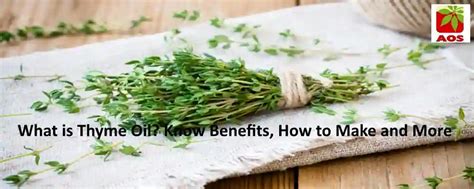 What is Thyme Oil - How to Check Purity | Blog Online