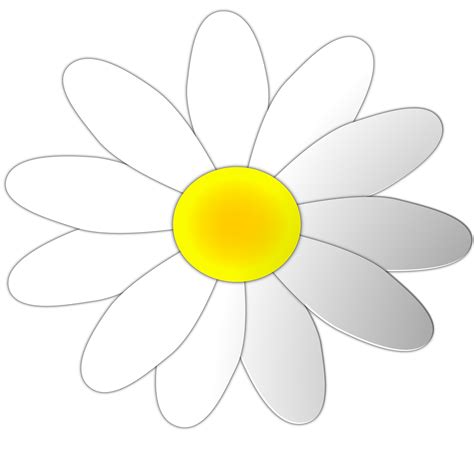 White Daisy Clip Art
