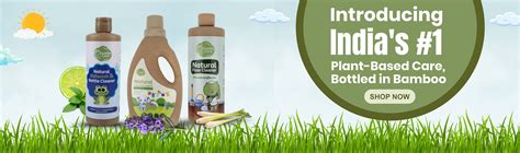 Cuddle Care | Premium Plant-Based Care for Your Family – My Store