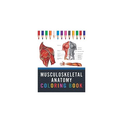 Musculoskeletal Anatomy Coloring Book: Now you can India | Ubuy
