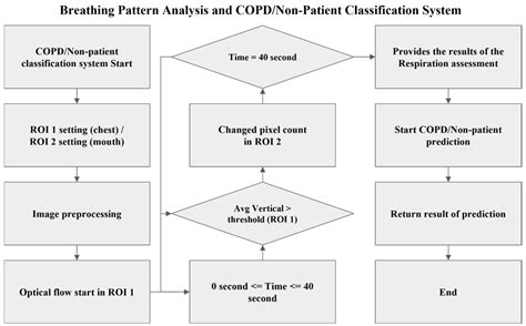 Classification of Chronic Obstructive Pulmonary Disease (COPD) Through ...