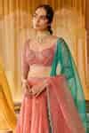 Buy Coral Silk Organza, Net Embroidery, Sequins, Cut Work Aari Hand ...