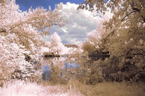 Image result for Infrared Photography Tutorial