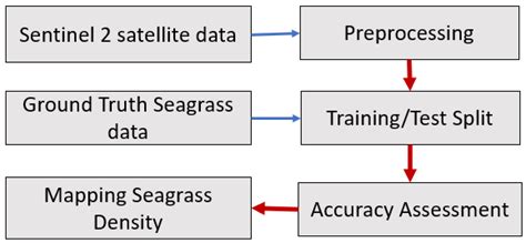 Quantifying Seagrass Density Using Sentinel-2 Data and Machine Learning