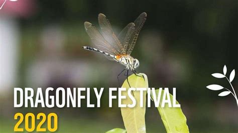 Kerala's 1st-ever Dragonfly Festival