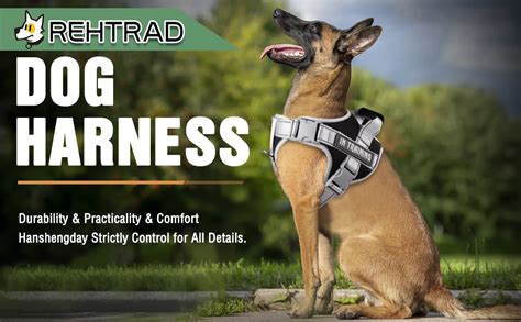 REHTRAD Dog Harness, Adjustable Dog Body Belt For Large Dogs With ...