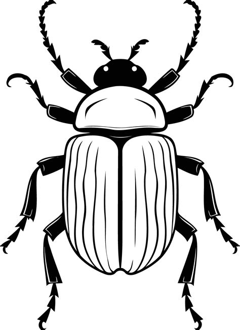 Black and white illustration of a beetle in a simple, graphic style ...