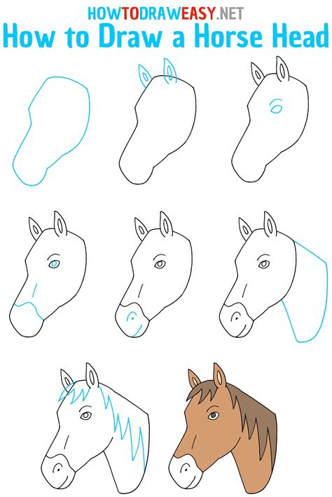 How to Draw a Horse Head - Draw for Kids