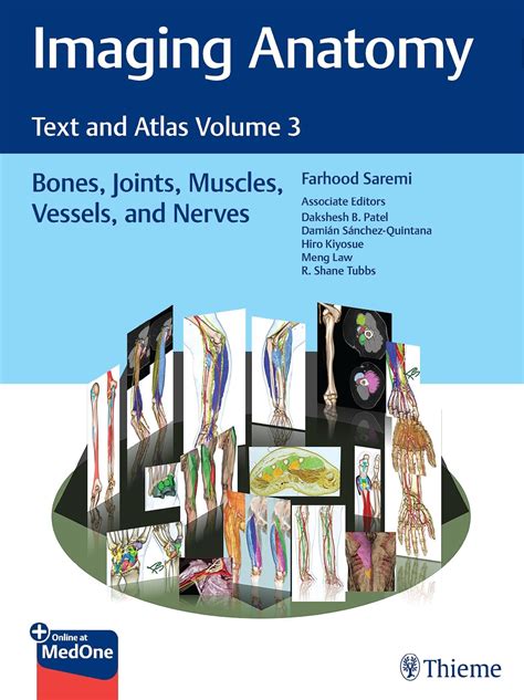 Atlas Bone Anatomy