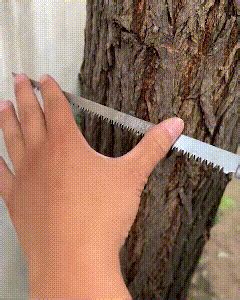 Outdoor Portable Hand Saw – Berfromcal