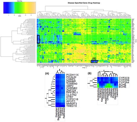 Connectivity Map 的图像结果