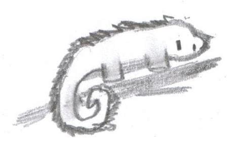 Image result for Chibi Lizard