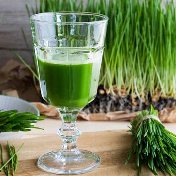 How to grow Microgreens at Home - Complete Guide