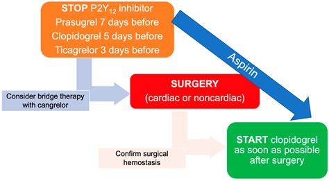 Dual Antiplatelet Therapy with Parenteral P2Y12 Inhibitors: Rationale ...