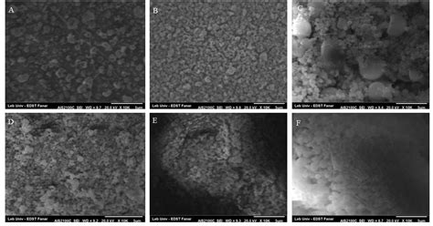 Fig. 2: Scanning electron microscopical images of tadalafil-loaded ...