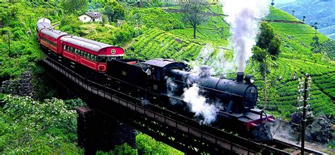 International & Domestic Tour Packages, Book International & Domestic ...