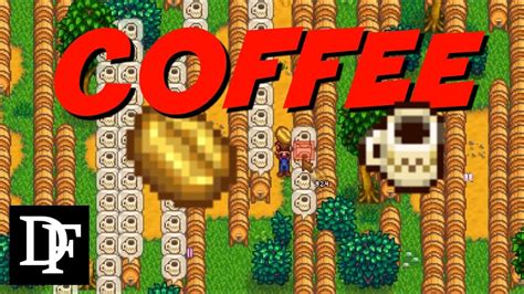 Ultimate Coffee Farm? - Stardew Valley Gameplay HD - YouTube