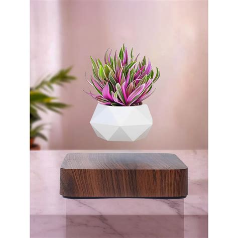 Buy Ekhasa White Magnetic Levitating Flower Pot Online