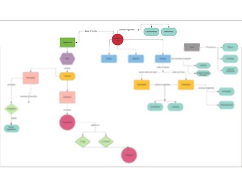 Image result for Concept Map Example
