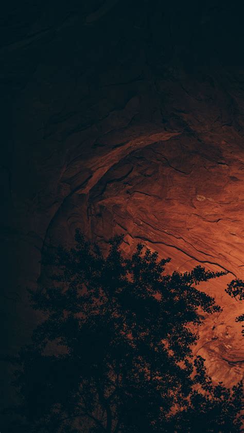 Download wallpaper 2160x3840 cave, rock, trees, stony samsung galaxy s4 ...