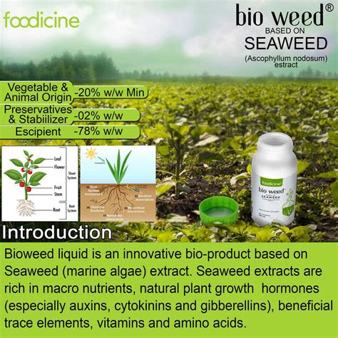 Imported Seaweed Extract Bio Fertilizer | Organic Growth Booster ...