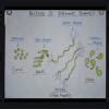 draw the diagrams of five types of bacteria, and diagrams of protozoa ...