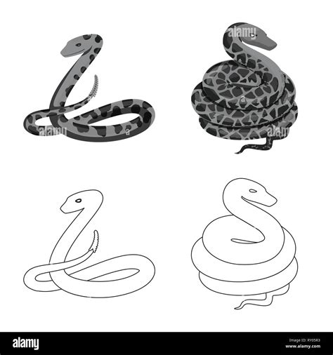 Image result for Python Snake Tail