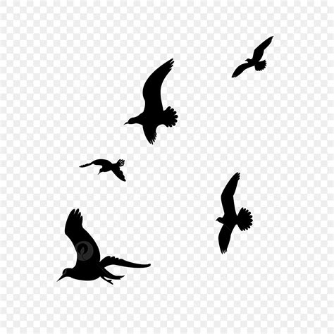 Flying Black Bird Clip Art