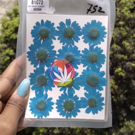 Arteria. Pressed Daisies- Blue
