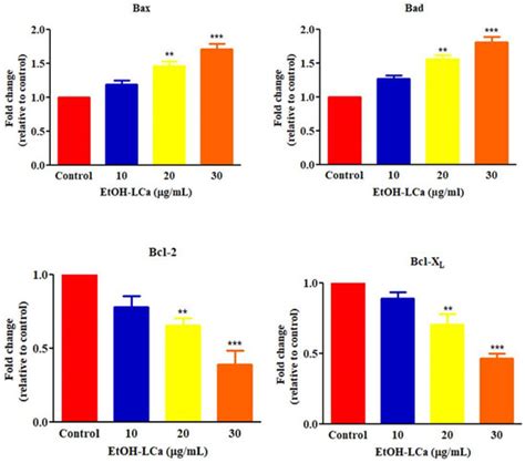 Processes | Special Issue : Plant Bioactive Compounds: Extraction ...