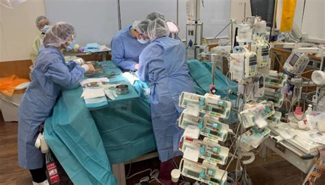Polizei von Tokyo verhaftet Fake-Doktor wegen illegaler Operationen