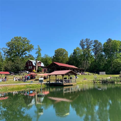 BIG DOOR VINEYARDS (2026) All You Need to Know BEFORE You Go (with ...