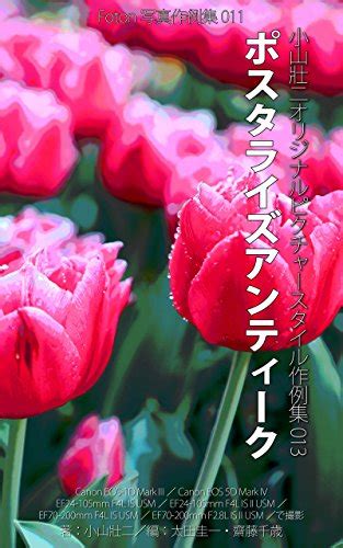 Foton Photo samples 011 Orignal Picture Style Posterize Antique: Using ...