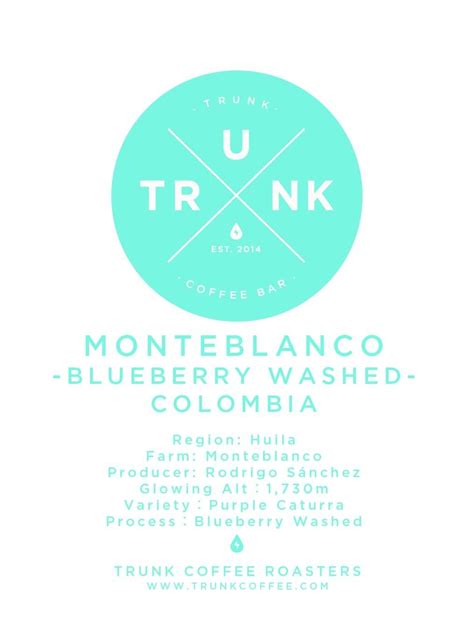【数量限定/ 希少】250g, ブルーベリー ウォッシュド モンテブランコ "Blueberry Washed" MONTEBLANCO ...