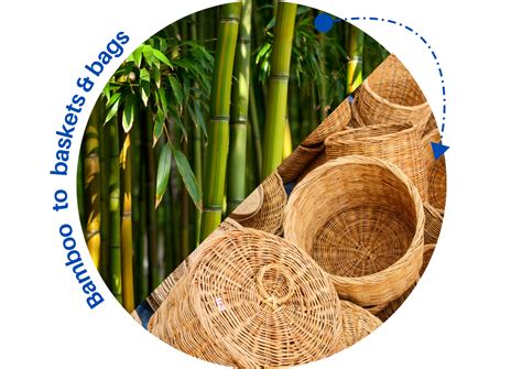 Sustainable Alternatives to Plastic Packaging | Plastic EDU