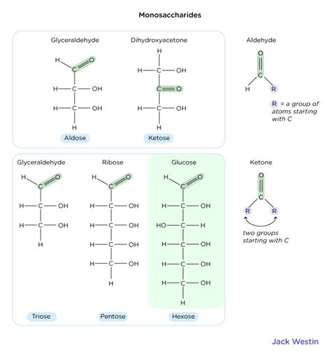 1d Carbohydrates Description - Carbohydrates - MCAT Content