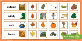 Words Associated with Autumn | Autumn Words on Leaves